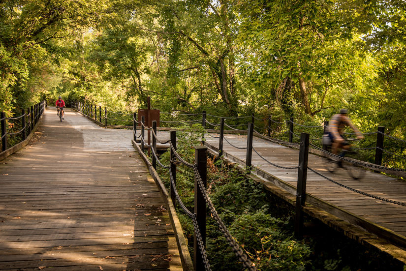 Wooden boardwalks on the Mount Vernon Trail near Roosevelt Island.