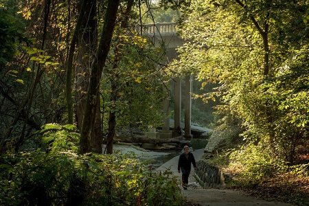 Man walking along trail in woods